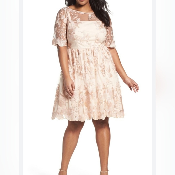 Adrianna Papell Dresses & Skirts - Adrianna Papell Size 12 Blush gold mesh embroidered short illusion dress New Tag